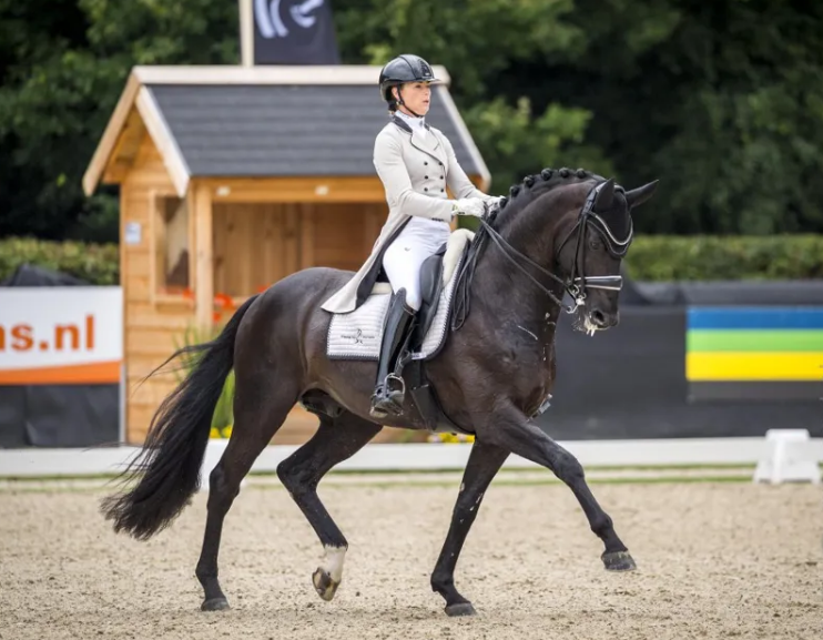 Derde N.O.P. Talentdag op 10 juni in Ermelo