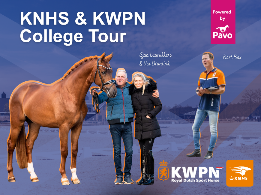 KNHS & KWPN College Tour Jonge paarden opleiden: van basis naar balans